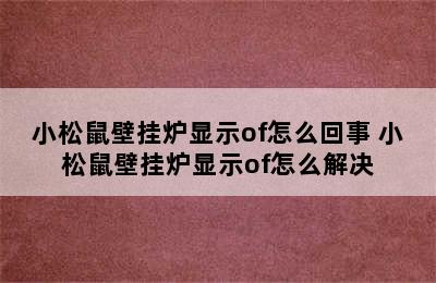 小松鼠壁挂炉显示of怎么回事 小松鼠壁挂炉显示of怎么解决